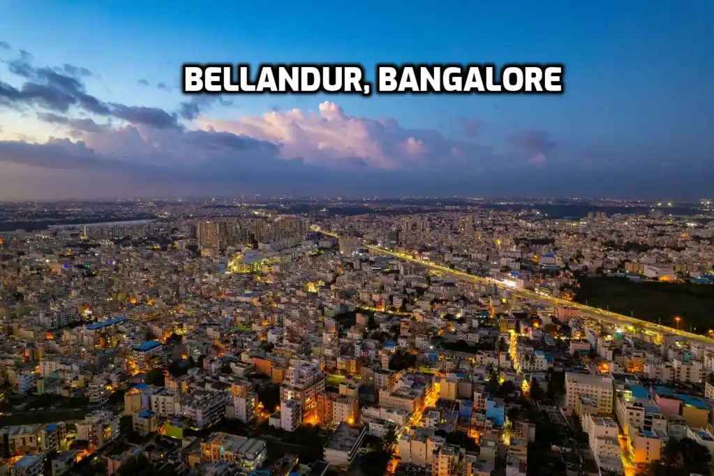 Bellandur Bangalore Escorts and Call Girls