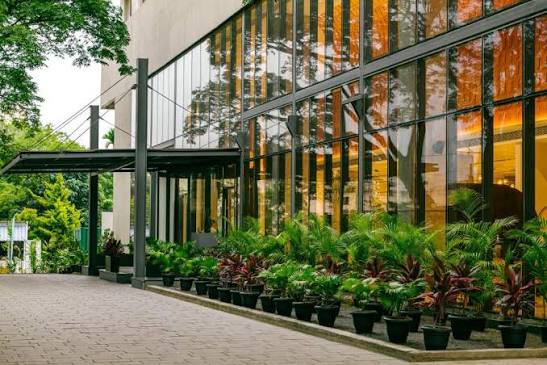 greenpark hotel bangalore escorts