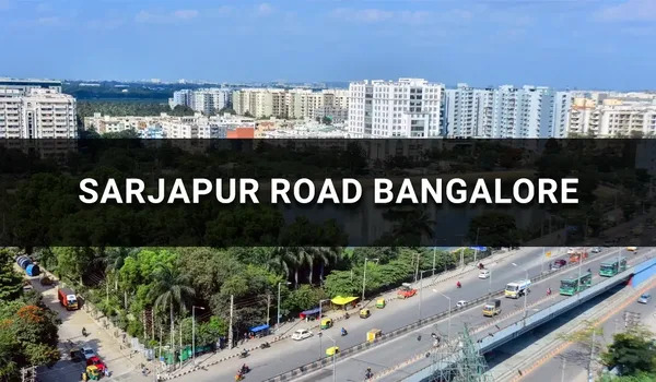 sarjapur road Bangalore escorts